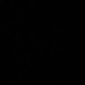 Meet your Posher, Raymond